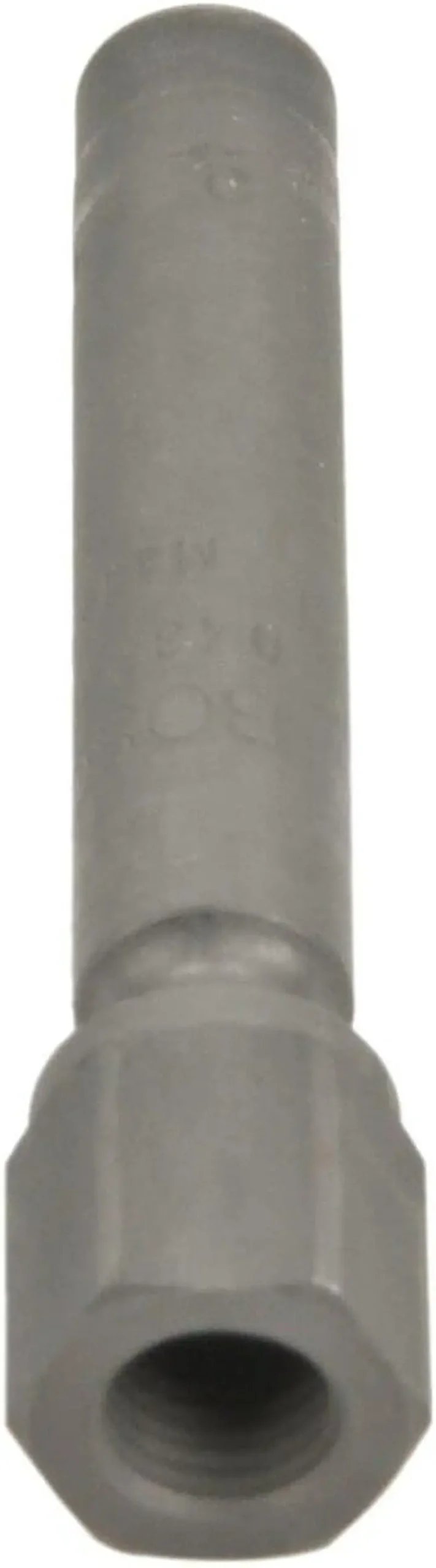 0437502013 Fuel Injector 1