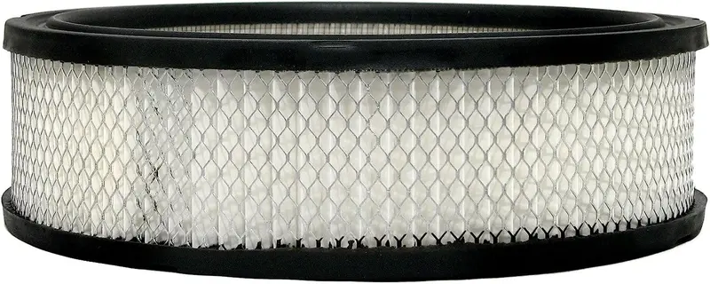 Gm Original Equipment A773c Air Filter 1