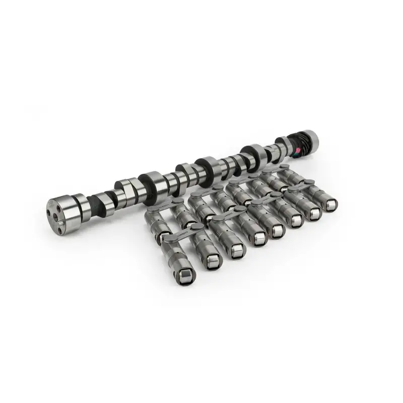 Lunati Street Hydraulic Roller Lifters – Chevrolet Sbc 262–400 Cubic Inch Engines (20120121Lk) 1
